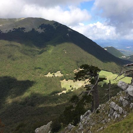 Casa Vacanze Del Pollino Βίλα Fardella Εξωτερικό φωτογραφία