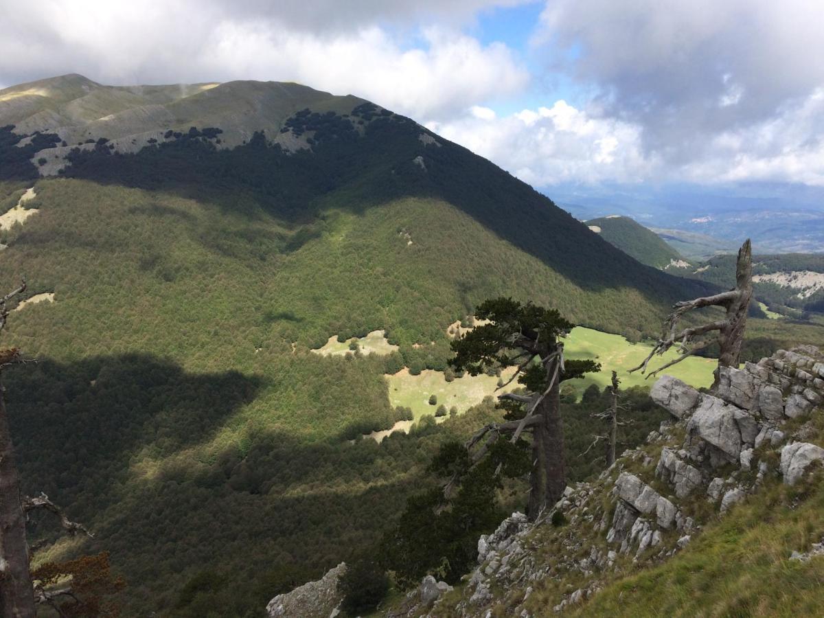 Casa Vacanze Del Pollino Βίλα Fardella Εξωτερικό φωτογραφία