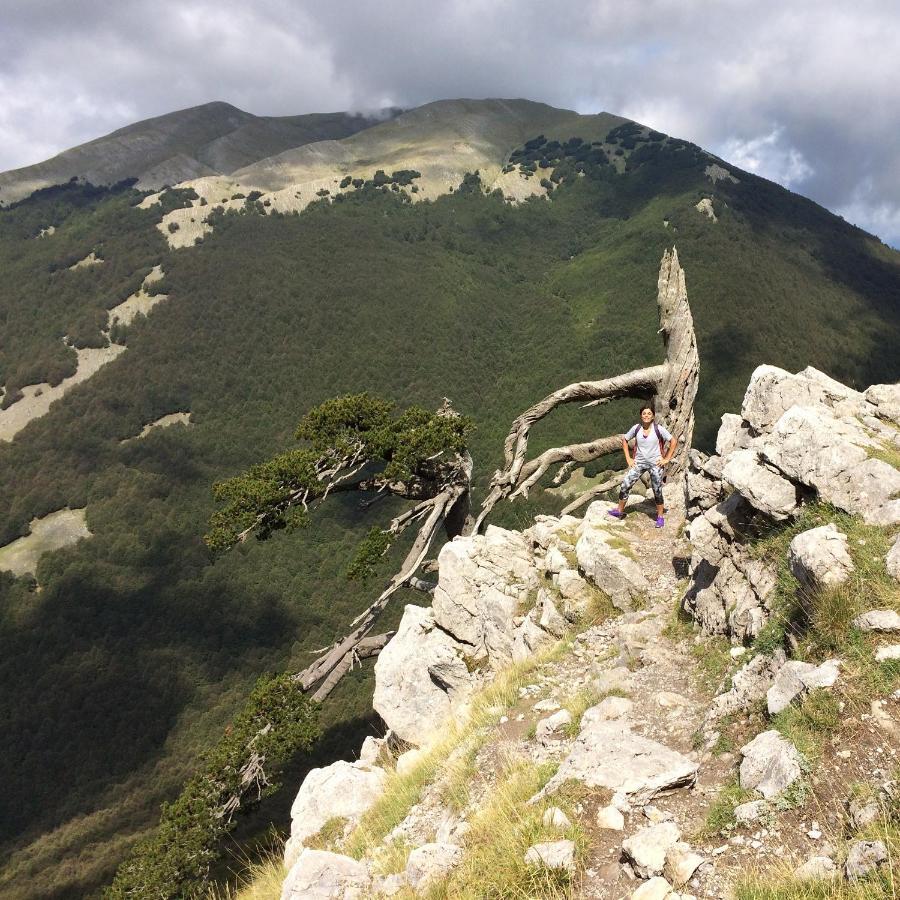 Casa Vacanze Del Pollino Βίλα Fardella Εξωτερικό φωτογραφία