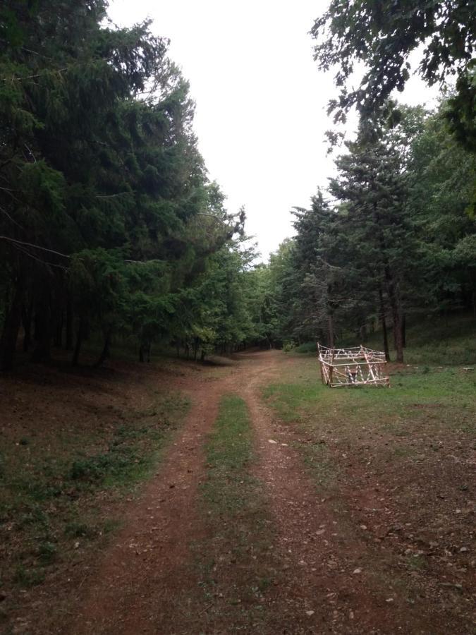 Casa Vacanze Del Pollino Βίλα Fardella Εξωτερικό φωτογραφία