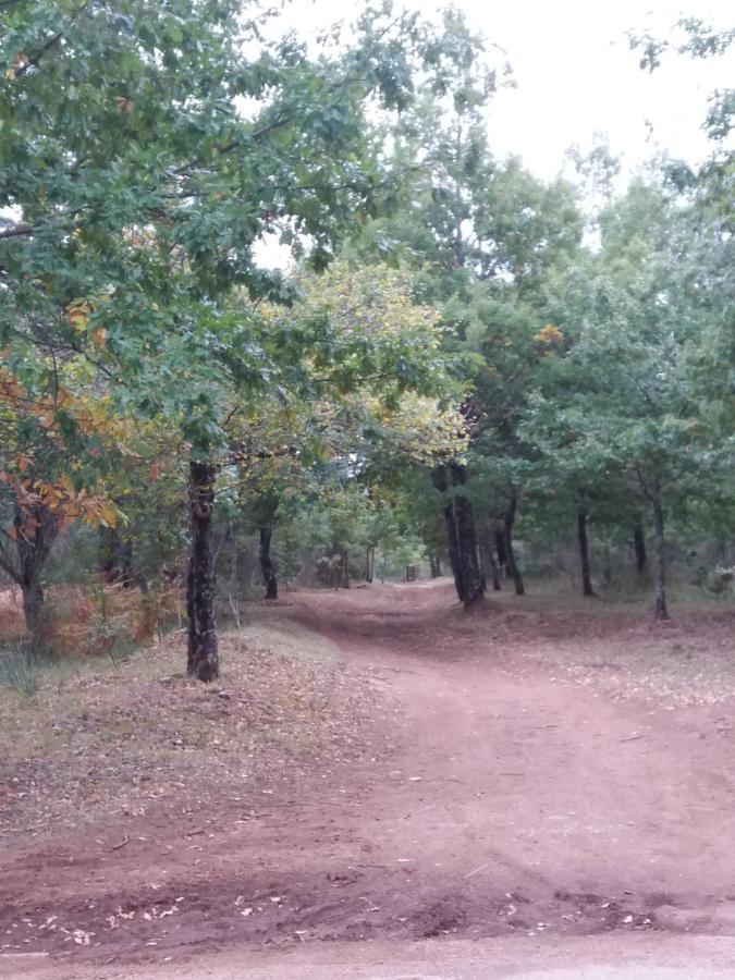 Casa Vacanze Del Pollino Βίλα Fardella Εξωτερικό φωτογραφία