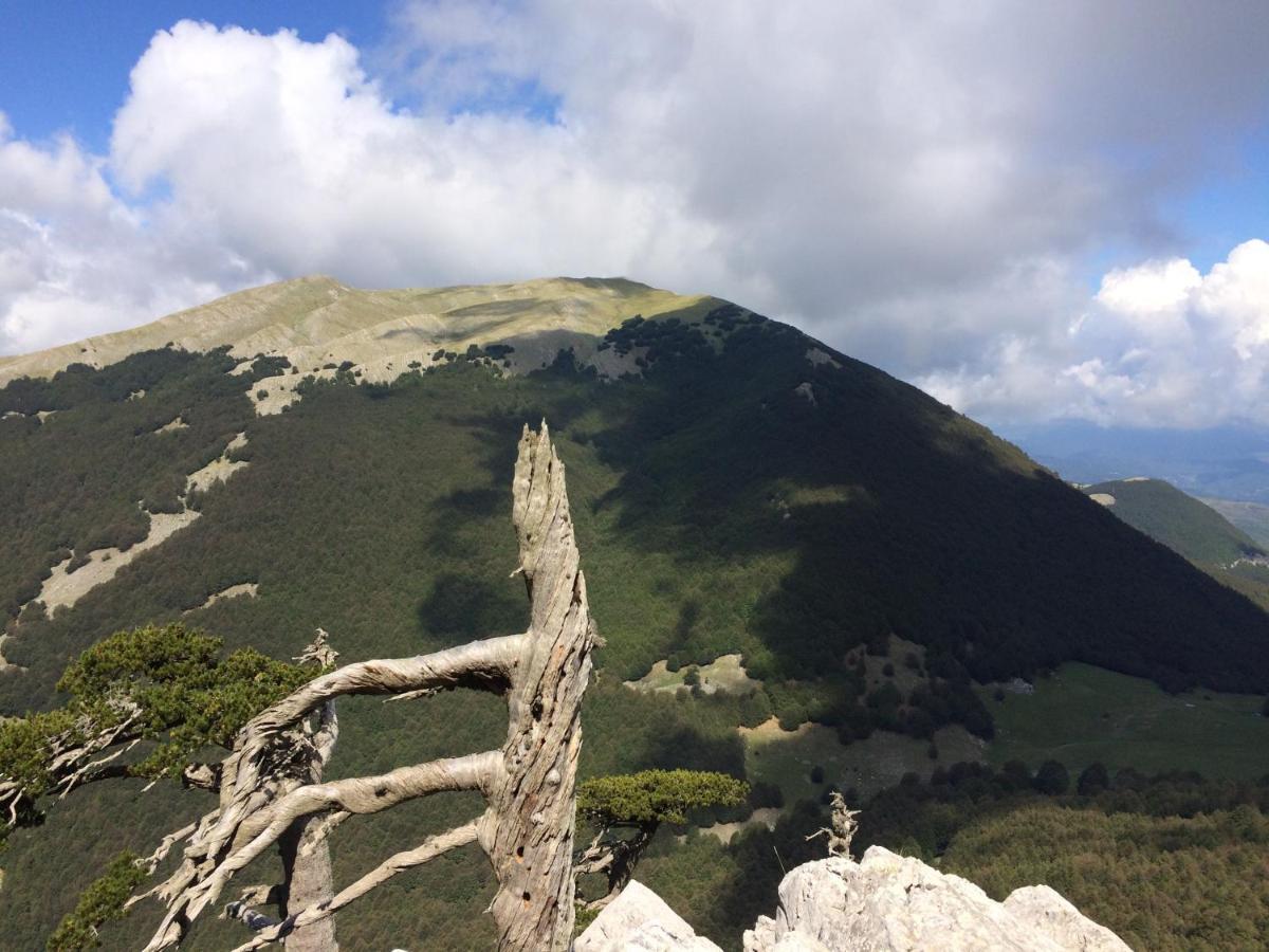 Casa Vacanze Del Pollino Βίλα Fardella Εξωτερικό φωτογραφία