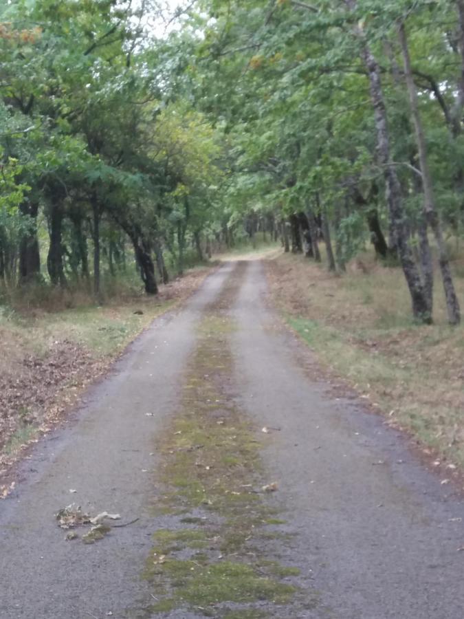 Casa Vacanze Del Pollino Βίλα Fardella Εξωτερικό φωτογραφία