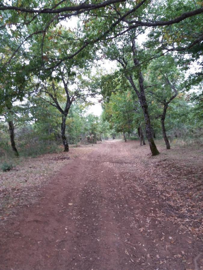 Casa Vacanze Del Pollino Βίλα Fardella Εξωτερικό φωτογραφία