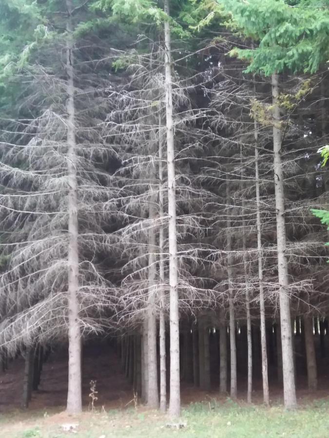 Casa Vacanze Del Pollino Βίλα Fardella Εξωτερικό φωτογραφία